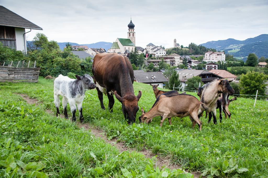 Merlhof Fiè Esterno foto